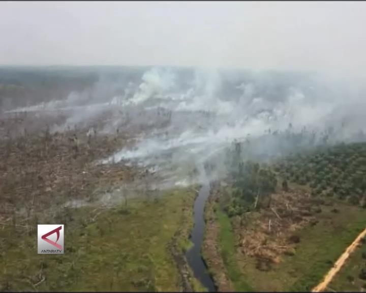 Sekat Kanal Efektif Atasi Kebakaran Hutan