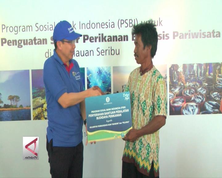 Bank Indonesia Bantu Budidaya Ikan Kerapu Antara News