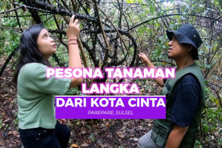 Pesona tanaman langka dari Kota Cinta