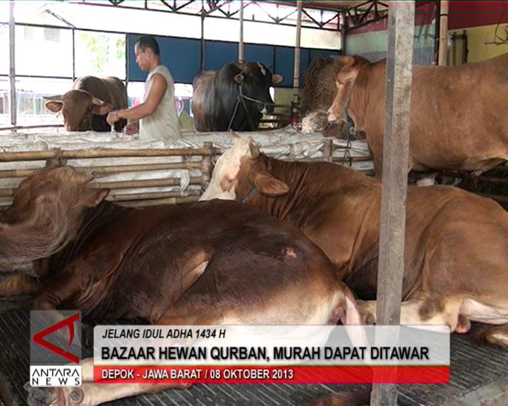 Bazaar Hewan Qurban, Murah Dapat Ditawar