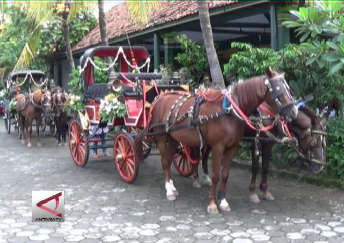 Petualangan Romantis: Jelajahi Yogyakarta dengan Kereta Kuda! 