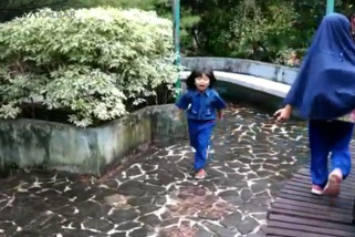 Pengenalan Tanaman Khas Pontianak