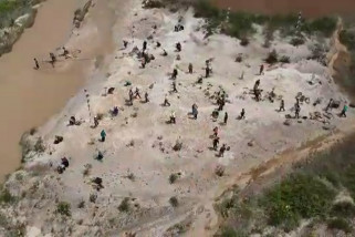 BI Kalbar tanam 1.000 pohon di eks tambang emas