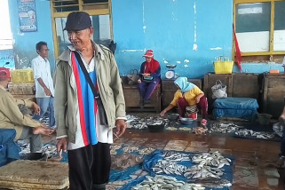 Harga ikan laut di Lampung Timur turun