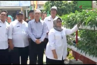 VIDEO: Panen lele kolam bulat