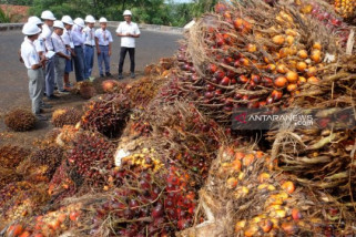 Siswa Mengenal Nusantara belajar di pabrik sawit dan Kawasan Industri Medan