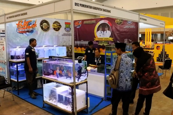Nusatic 2019 ajang tampil pelaku budidaya ikan hias dari Tangerang - ANTARA