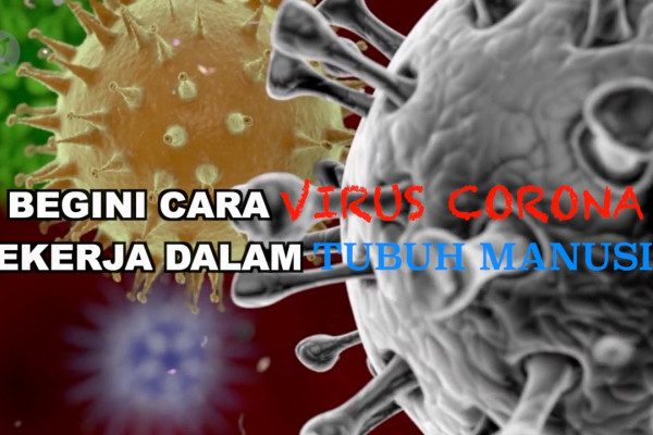 Covid berapa dalam aktif badan lama virus
