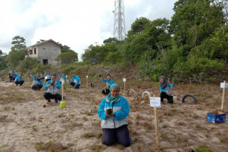 Antara TV - Jasa Raharja Babel tanam 100 bibit pohon cemara laut