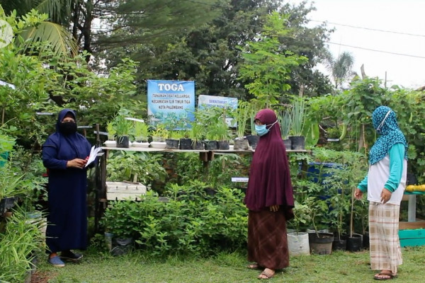  Tanaman  obat  keluarga sumber ketahanan pangan di tengah  