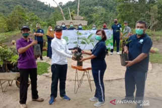 Jasa Raharja Babel Tanam 336 bibit Pohon di Bukit Pinter