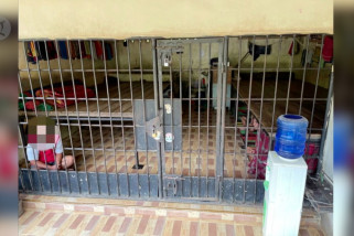 Komnas HAM usut penjara manusia milik Bupati Langkat