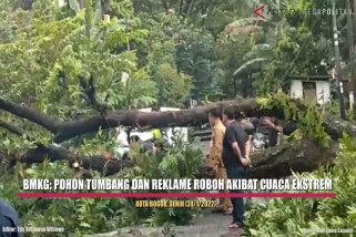 Cuaca ekstrem sebabkan pohon tumbang dan reklame roboh di Bogor