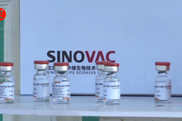 Sinovac vaksin Fakta Vaksin