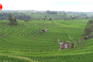 Indonesia perkenalkan sistem subak di Bali ke Menteri Pertanian G20