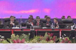 Indonesia usulkan 3 isu prioritas di pertemuan Menteri Pertanian G20