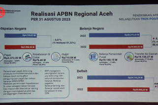 Rekomendasi perwakilan Kemenkeu Aceh untuk kemandirian fiskal