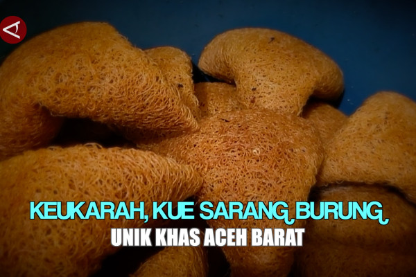 Keukarah Kue Sarang Burung Unik Khas Aceh Barat Antara News