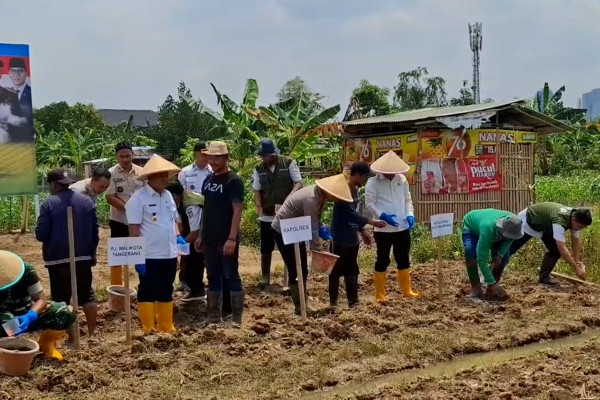 Polres dan Pemkot Tangerang garap 4,5 hektar lahan tidur