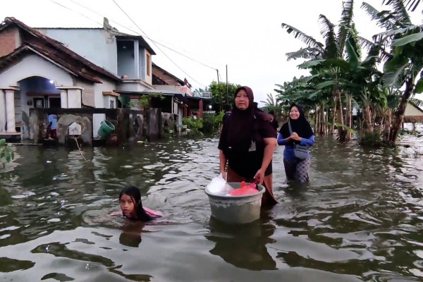 3.000 jiwa lebih di Kabupaten Kudus terdampak banjir