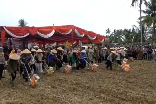 Pemkot Padang siapkan 136 Ha lahan untuk dukung ketahanan pangan