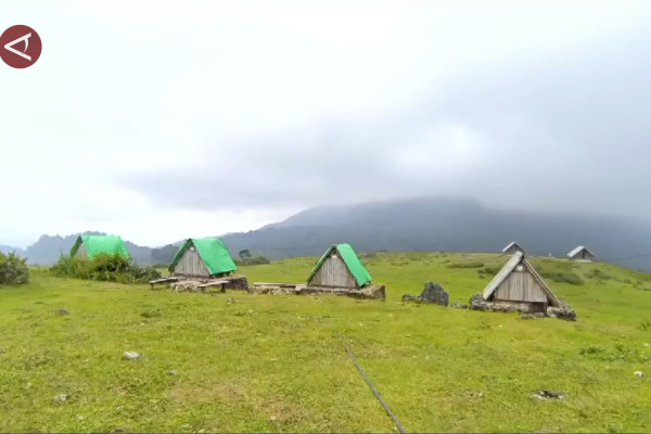 Pesona padang sabana 'negeri dongeng' di Fulan Fehan NTT