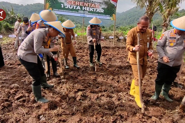 Polres Cilegon terjun langsung dalam peningkatan produksi jagung