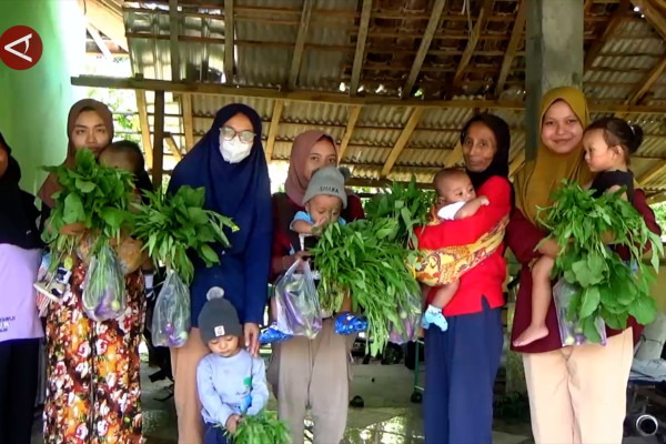 Kebun gizi penuhi kebutuhan pangan bernutrisi untuk tekan stunting