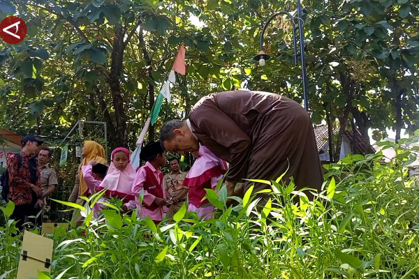 Warga Negara Asing kunjungi Madiun untuk berburu bahan herbal