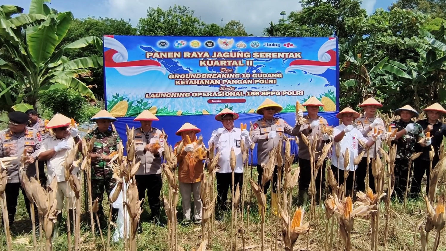 Polda Kaltara fokus benahi infrastruktur jaga stok jagung perbatasan