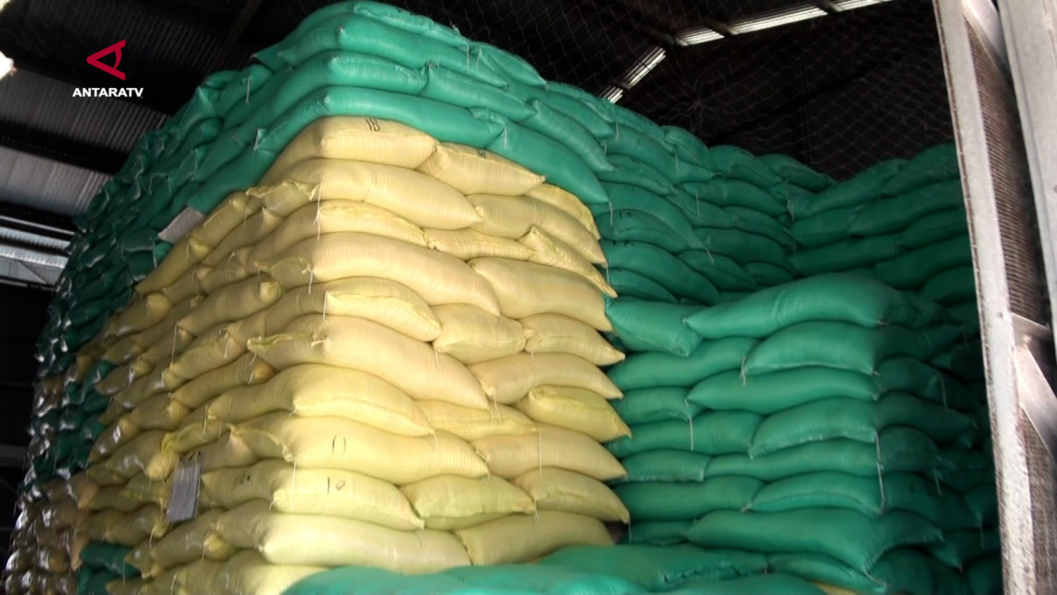 Bulog Kalteng serap 1.200 ton beras dari petani lokal untuk cadangan