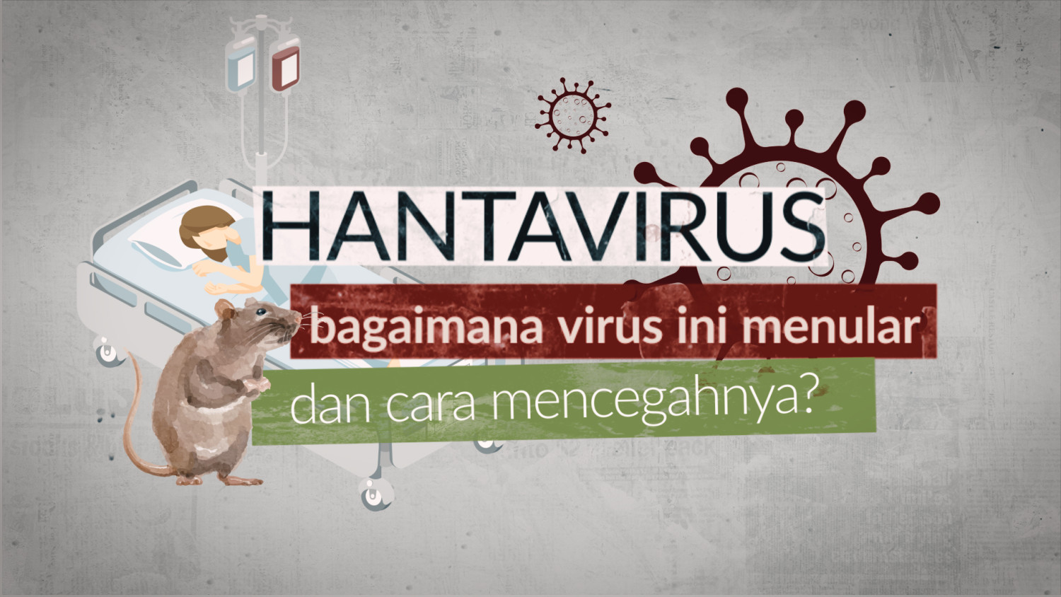 Kenali Hantavirus dan panduan praktis mencegah penularannya
